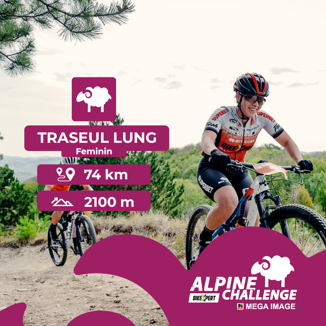 Alpine Challenge 2025 — 3