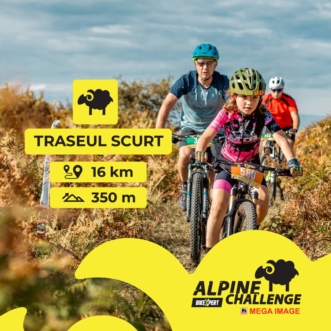 Alpine Challenge 2025 — 5