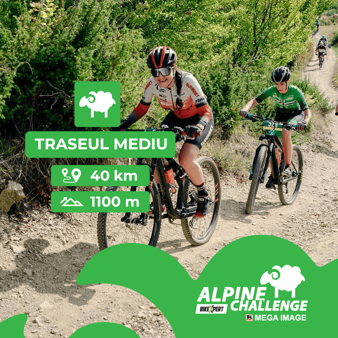 Alpine Challenge 2025 image 2