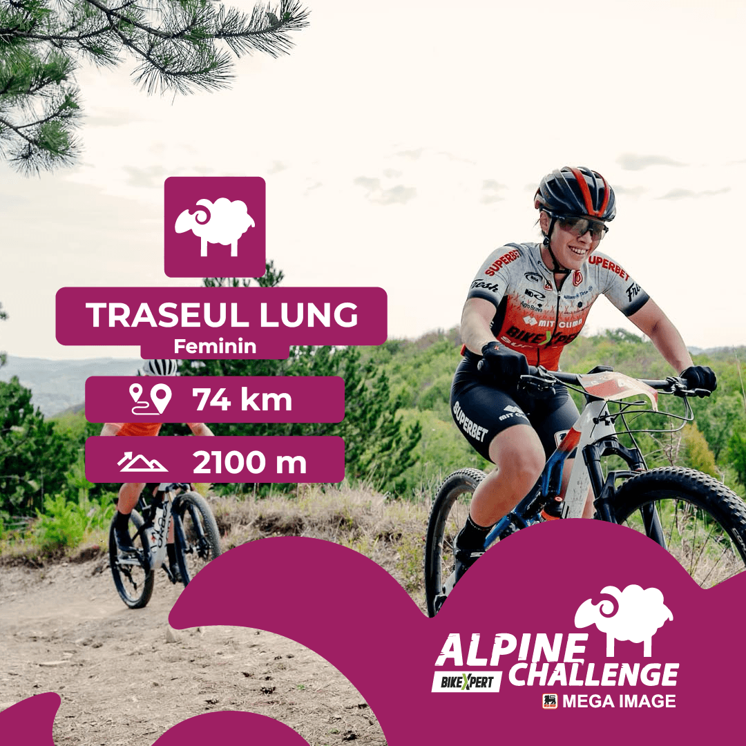 Alpine Challenge 2025 image 3