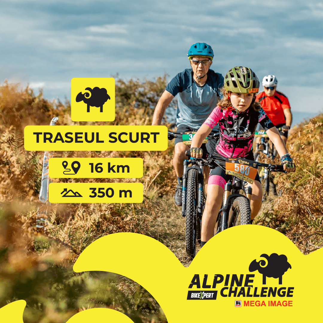 Alpine Challenge 2025 image 5