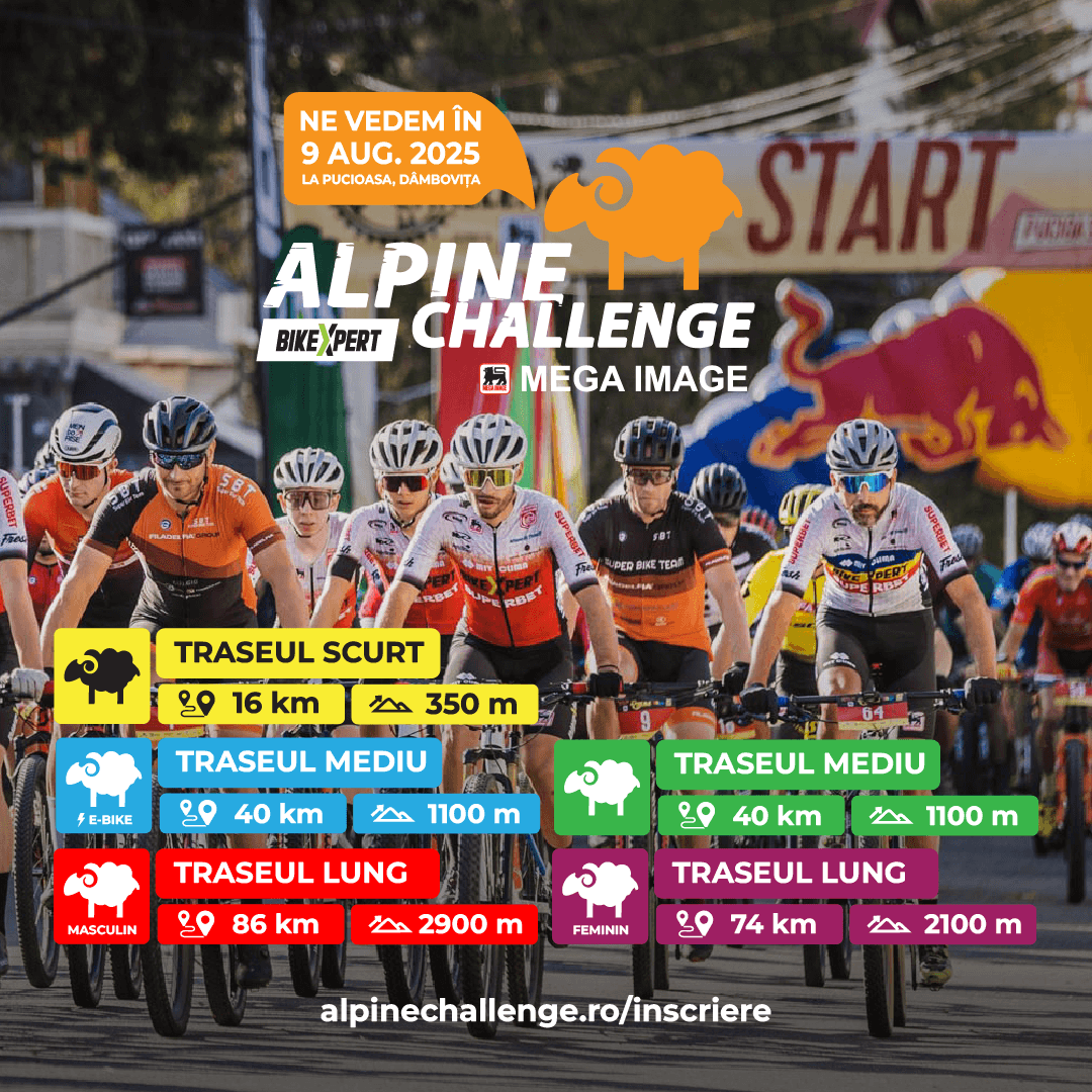 Alpine Challenge 2025 image 6